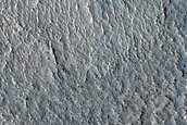 Terrain Sample