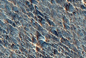 Chryse Planitia