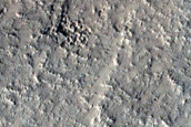 Terrain Sample