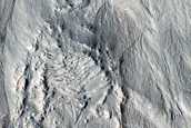 Gully Monitoring