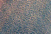 Terrain Sample
