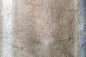 Terrain Sample