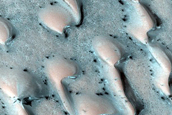 Terrain Sample