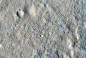Terrain Sample