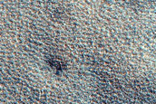 Terrain Sample