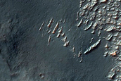 Bright Materials in Nectaris Fossae