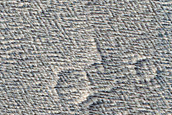 Candidate Recent Impact Site