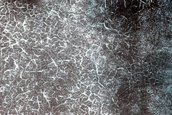 Terrain Sample