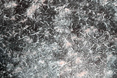Terrain Sample
