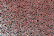 Terrain Sample