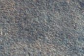 Fissures in Vastitas Borealis