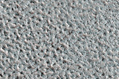 Terrain Sample
