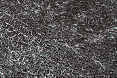 Terrain Sample