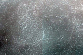Terrain Sample