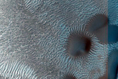 Dune Monitoring in Crater