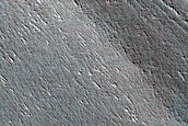 Terrain Sample
