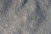Terrain Sample