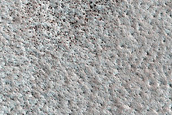 Terrain Sample