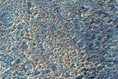 Layers on Crater Floor South of Semeykin Crater