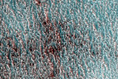 Terrain Sample