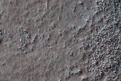 Terrain Sample