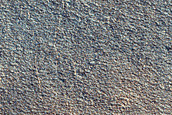 Terrain Sample