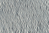 Terrain Sample