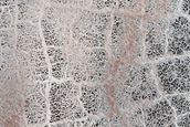 Terrain Sample
