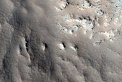 Gully Monitoring