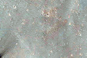 Candidate Recent Impact Site