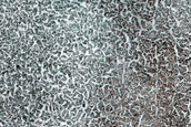 Terrain Sample