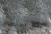 Terrain Sample
