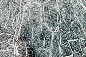 High-Latitude Northern Frost Enhanced Polygons