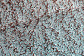 Terrain Sample