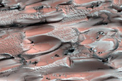 Terrain Sample