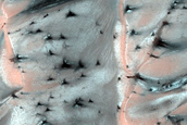 Dunes with Furrows Dubbed Lompoc