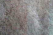 Fringe of Perennial Ice