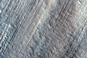 Gully Monitoring