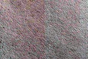Terrain Sample