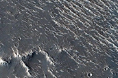 Candidate Recent Impact Site