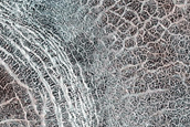 Terrain Sample