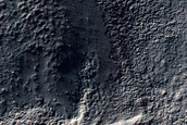 Flows in Noachis Terra