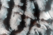 Dune Monitoring in Lomonosov Crater