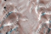 Terrain Sample