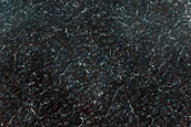 High-Latitude Northern Frost Enhanced Polygons