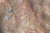 Gully Monitoring