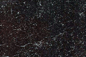 Terrain Sample
