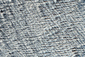Terrain Sample in Daedalia Planum