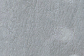 Rootless Cones in Cerberus Palus