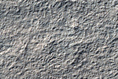 Multiple Ridges with Different Morphology